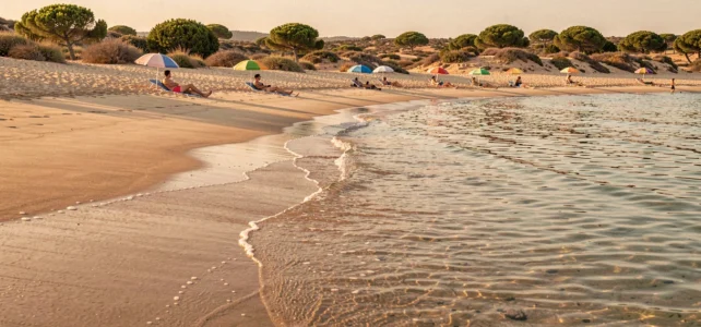 Découvrez les plus belles plages autour de Nîmes à explorer cet été Découvrez les plus belles plages autour de Nîmes à explorer cet été